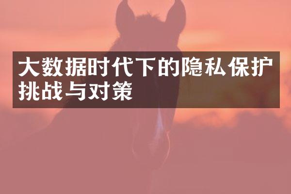 大数据时代下的隐私保护挑战与对策