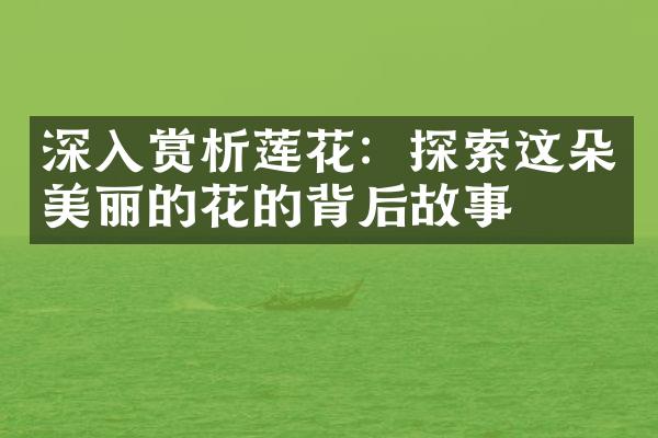 深入赏析莲花：探索这朵美丽的花的背后故事