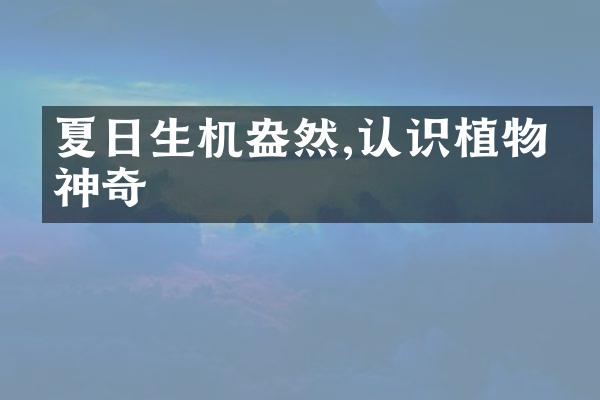 夏日生机盎然,认识植物的神奇