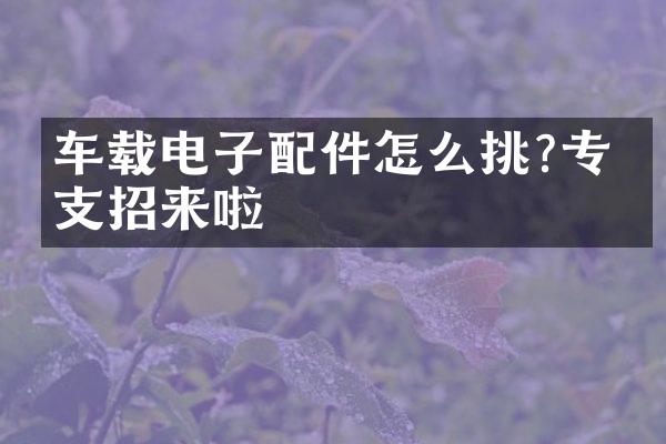 车载电子配件怎么挑?专家支招来啦