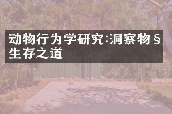动物行为学研究:洞察物种生存之道
