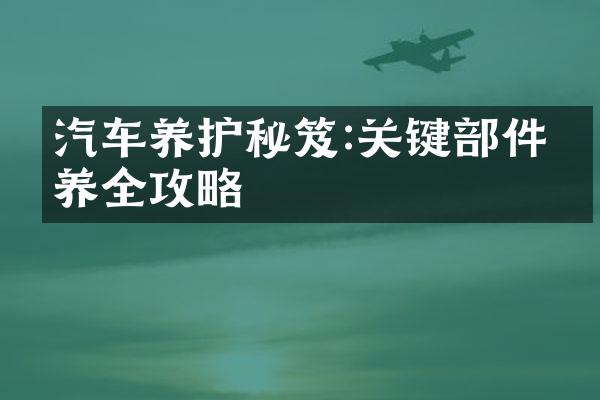 汽车养护秘笈:关键部件保养全攻略