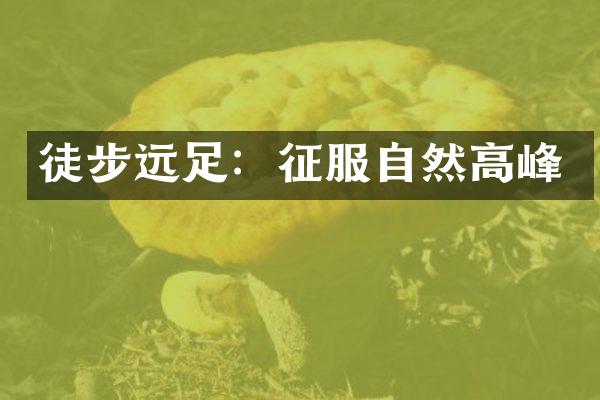 徒步远足：征服自然高峰