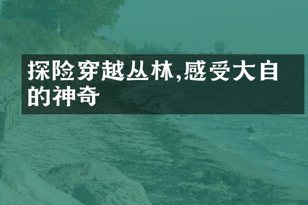 探险穿越丛林,感受大自然的神奇