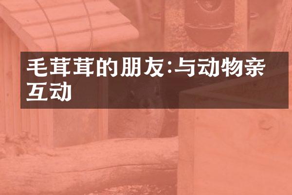 毛茸茸的朋友:与动物亲密互动