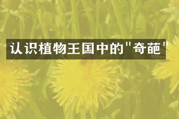 认识植物王国中的"奇葩"