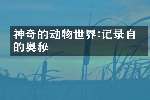 神奇的动物世界:记录自然的奥秘