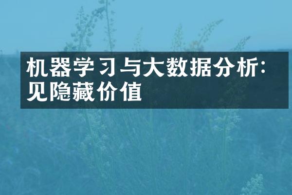 机器学习与大数据分析:洞见隐藏价值