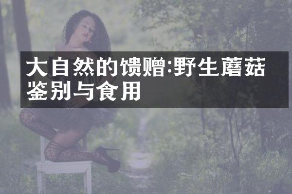 大自然的馈赠:野生蘑菇的鉴别与食用