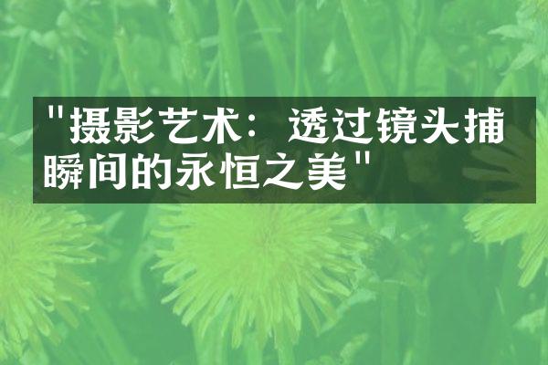 "摄影艺术：透过镜头捕捉瞬间的永恒之美"