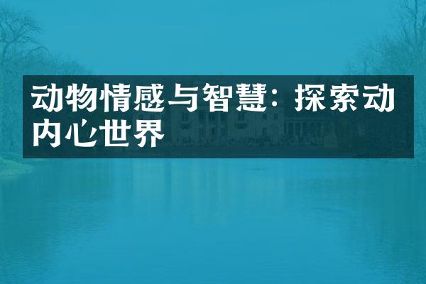 动物情感与智慧: 探索动物内心世界