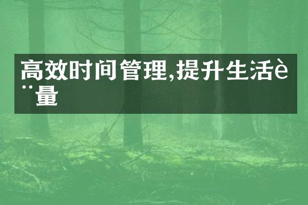 高效时间管理,提升生活质量