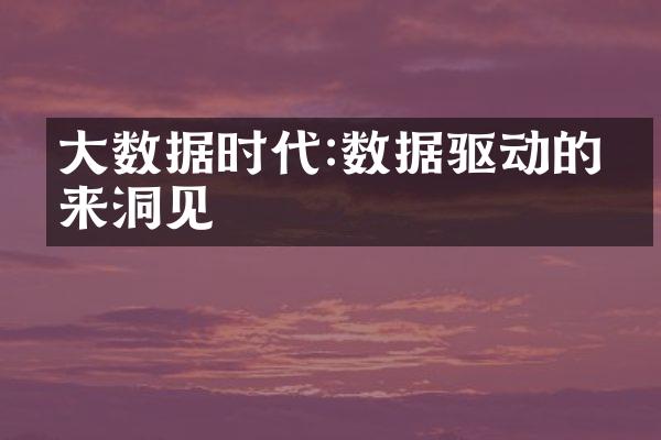 大数据时代:数据驱动的未来洞见