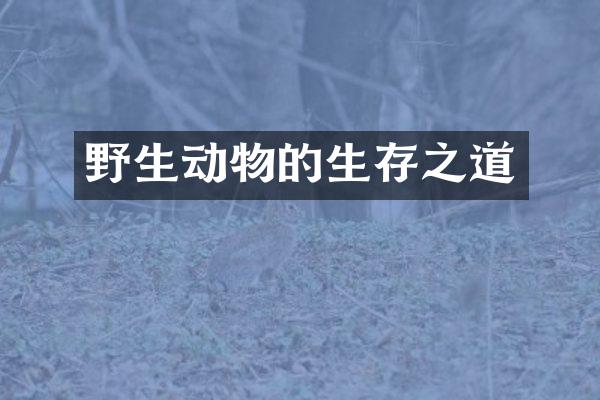 野生动物的生存之道