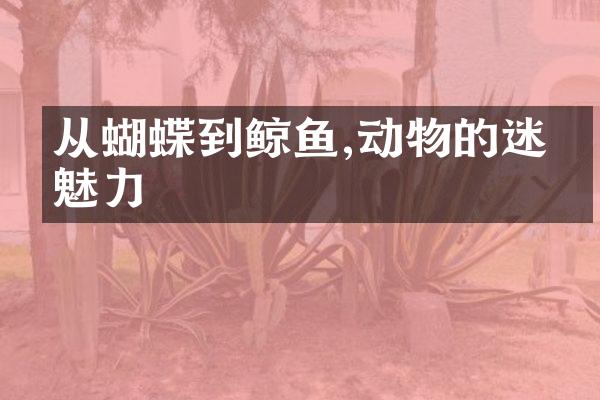 从蝴蝶到鲸鱼,动物的迷人魅力