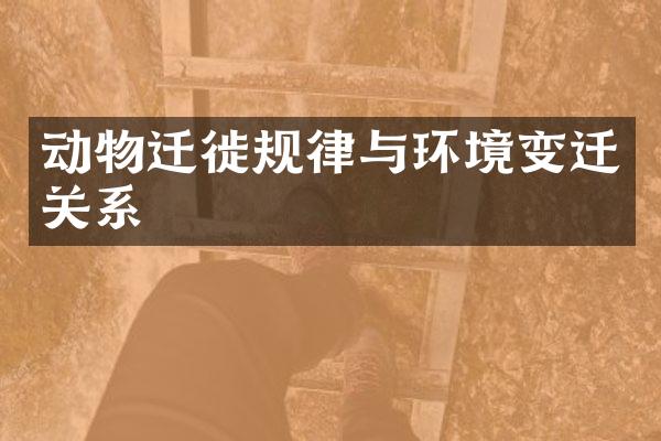 动物迁徙规律与环境变迁关系