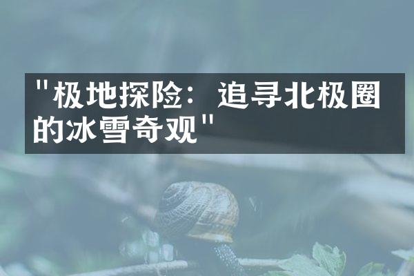 "极地探险：追寻北极圈内的冰雪奇观"