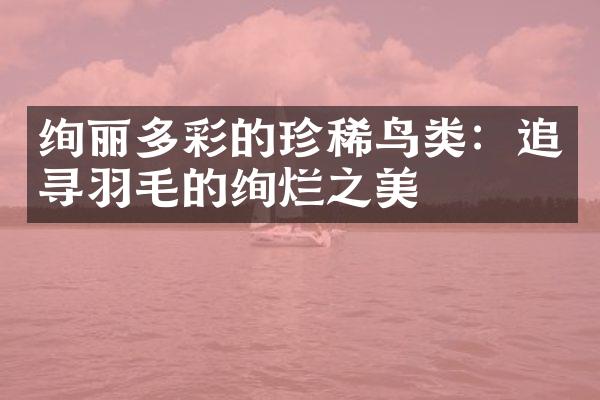 绚丽多彩的珍稀鸟类：追寻羽毛的绚烂之美