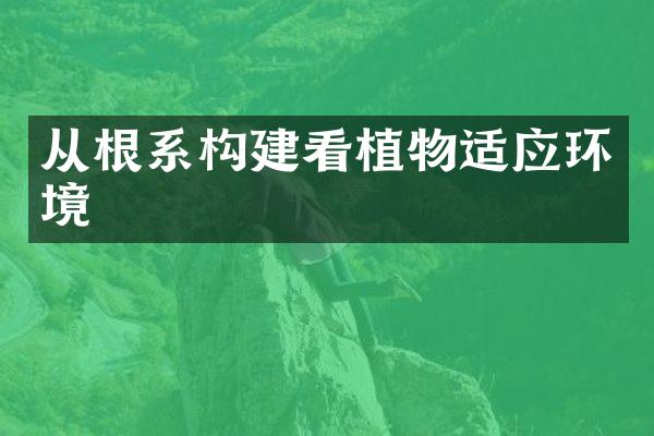 从根系构建看植物适应环境