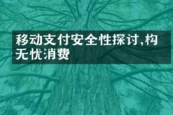 移动支付安全性探讨,构建无忧消费