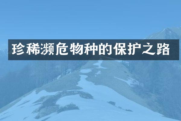 珍稀濒危物种的保护之路