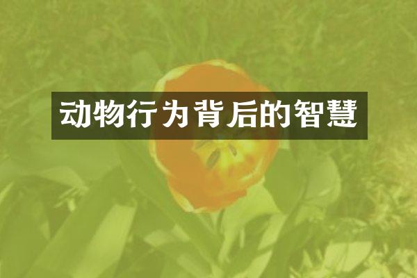 动物行为背后的智慧