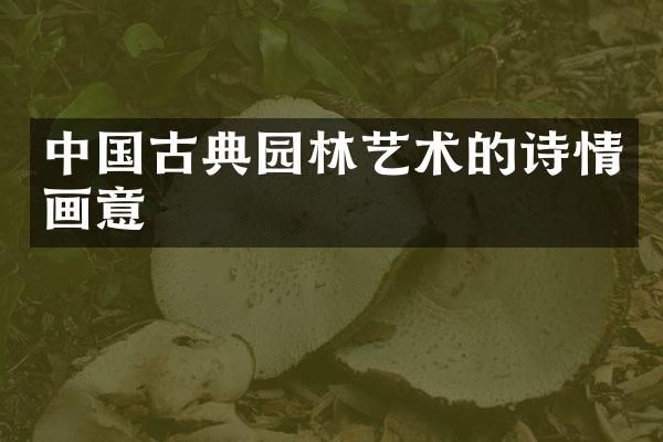 中国古典园林艺术的诗情画意