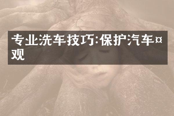 专业洗车技巧:保护汽车外观