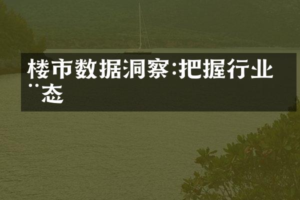 楼市数据洞察:把握行业动态