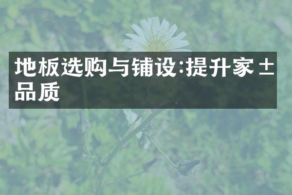 地板选购与铺设:提升家居品质