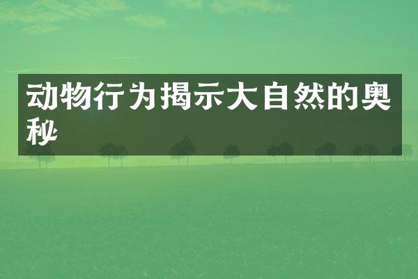 动物行为揭示大自然的奥秘