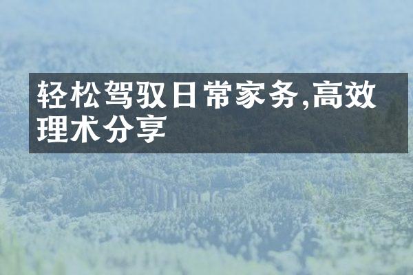 轻松驾驭日常家务,高效整理术分享