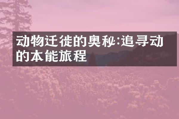 动物迁徙的奥秘:追寻动物的本能旅程