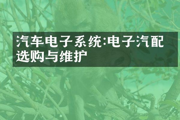 汽车电子系统:电子汽配件选购与维护