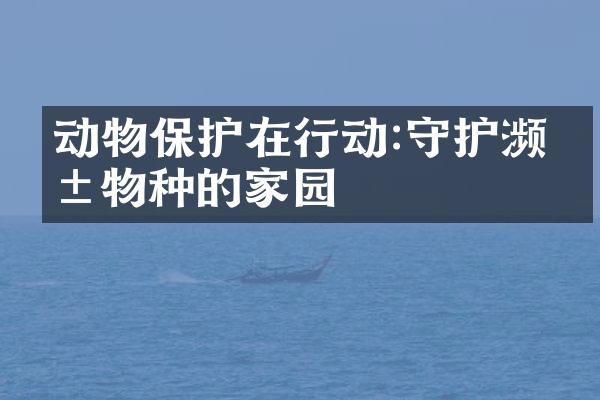 动物保护在行动:守护濒危物种的家园