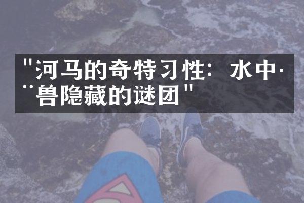 "河马的奇特习性：水中巨兽隐藏的谜团"