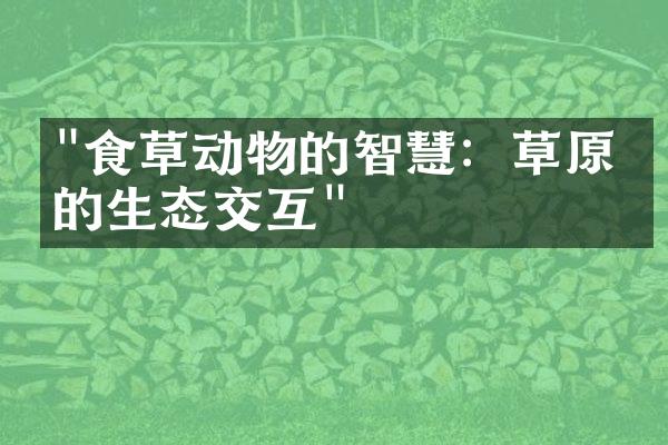 "食草动物的智慧：草原上的生态交互"