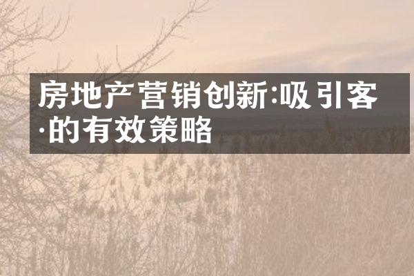 房地产营销创新:吸引客户的有效策略