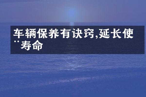 车辆保养有诀窍,延长使用寿命