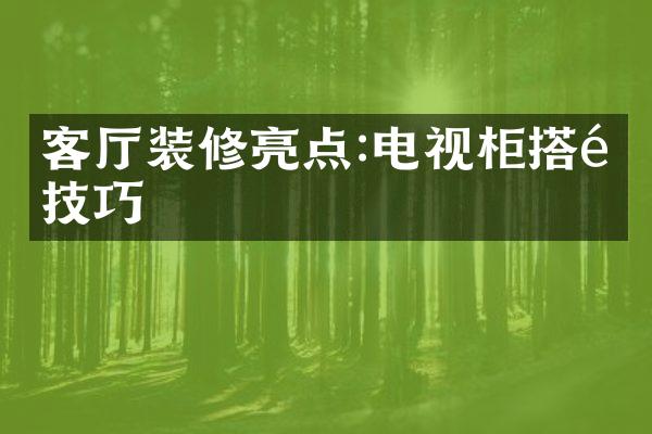 客厅装修亮点:电视柜搭配技巧