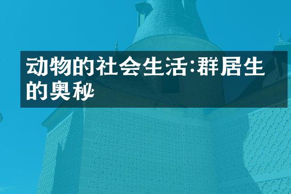 动物的社会生活:群居生活的奥秘