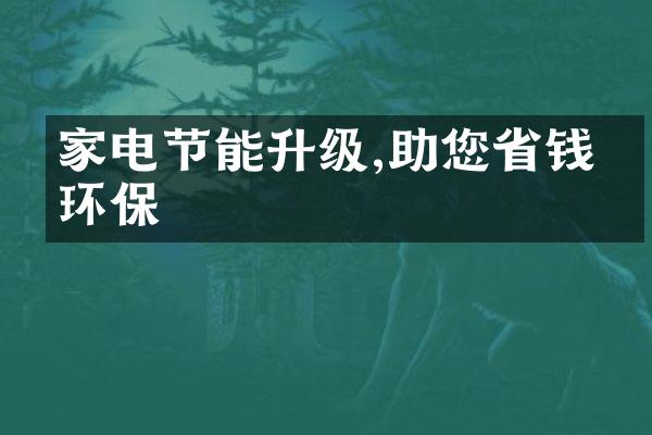 家电节能升级,助您省钱又环保