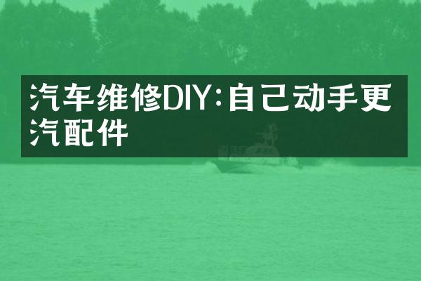 汽车维修DIY:自己动手更换汽配件