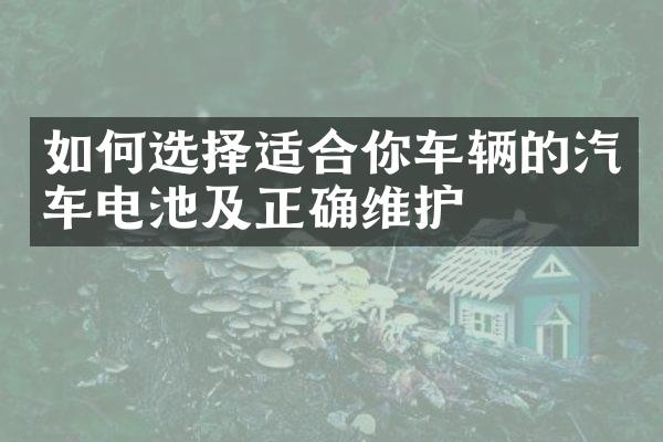 如何选择适合你车辆的汽车电池及正确维护