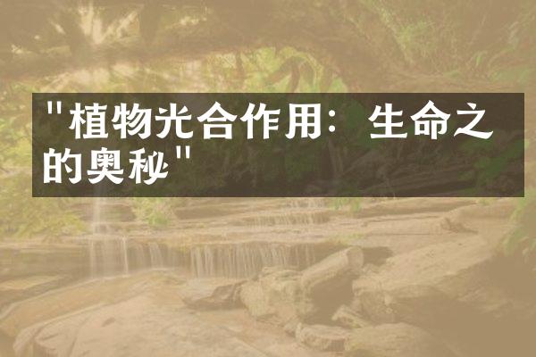 "植物光合作用：生命之源的奥秘"