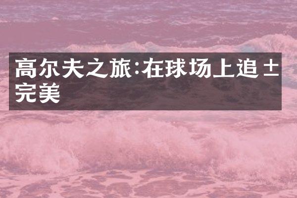 高尔夫之旅:在球场上追求完美