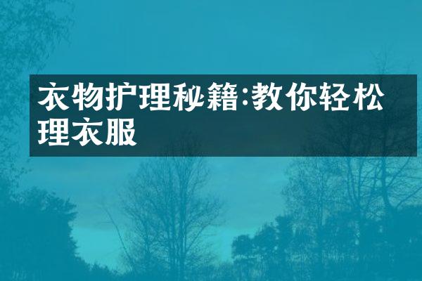 衣物护理秘籍:教你轻松打理衣服