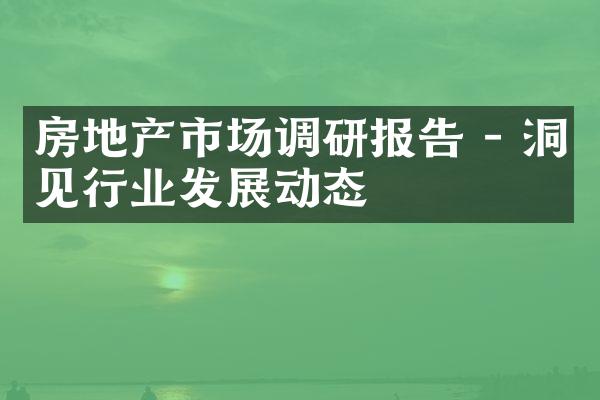 房地产市场调研报告 - 洞见行业发展动态