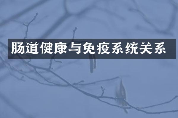 肠道健康与免疫系统关系