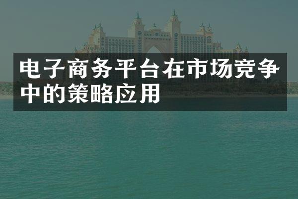 电子商务平台在市场竞争中的策略应用